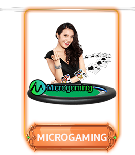 WY88 microgameing